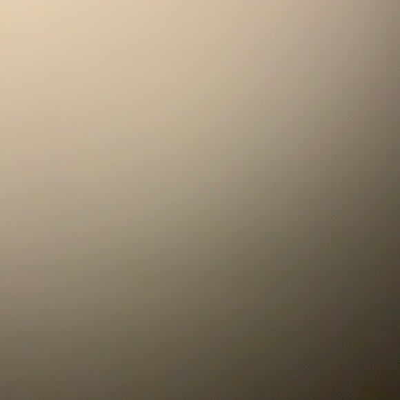 Meet your Posher, Suzi - Picture 1 of 1